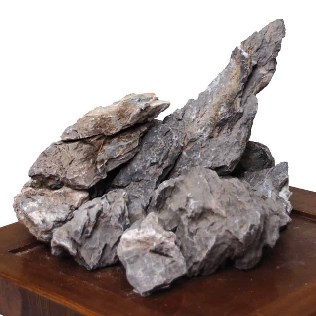 Roccia legno fossile 1kg